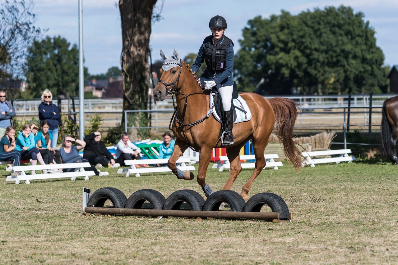 Bild 72 - Pony Akademie Turnier